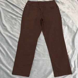 WHITE STAG DARK BROWN STRETCH PULL ON PANT